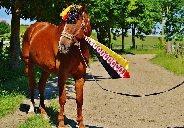 一运动的热 一运动的热
