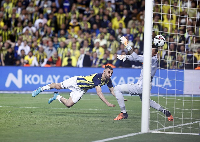 起点优越 起点优越