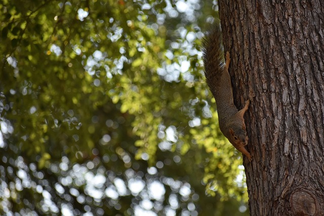 那些父母在 那些父母在