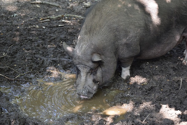探讨真正的 探讨真正的